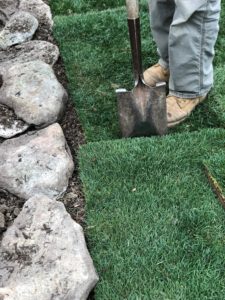 sod install