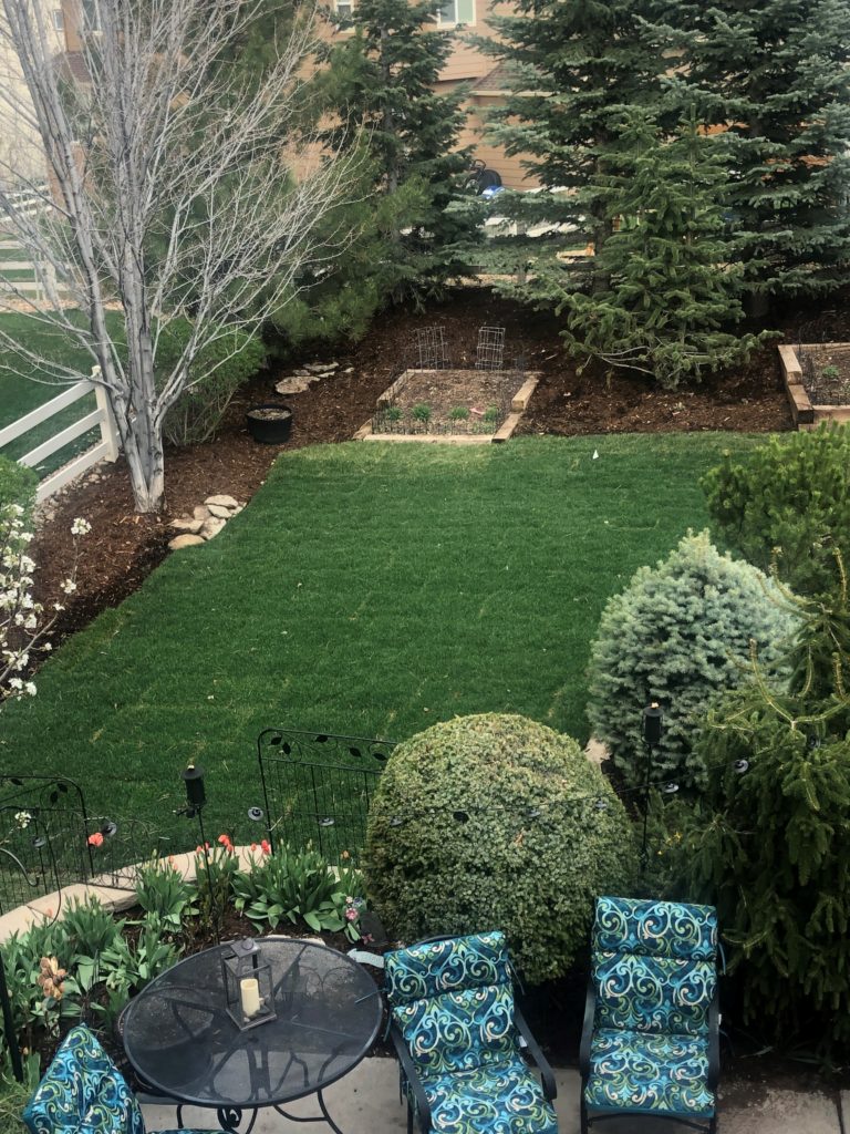 DIY Sod Installation
