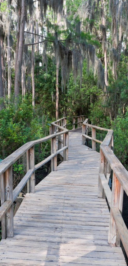 Nature Walk